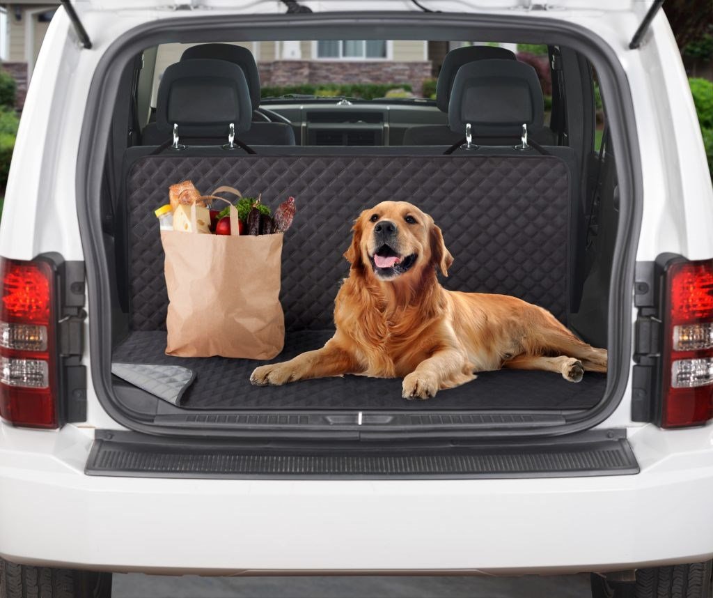 Reversible Dual Purpose Back Seat Cover (2 Colors Available)