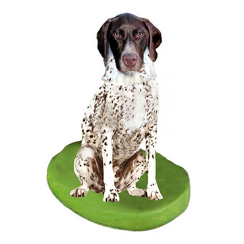 Custom Pet Dog Bobblehead - Pointer