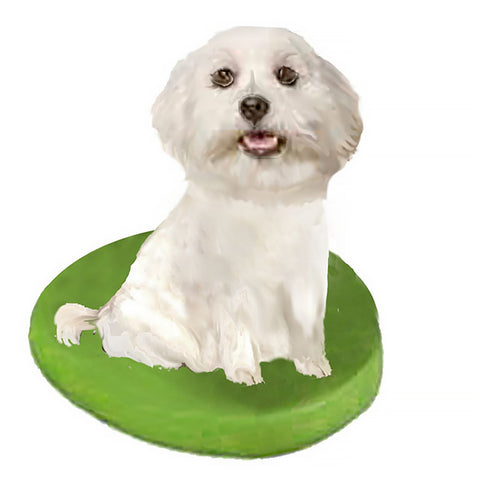 Custom Pet Dog Bobblehead - Maltese